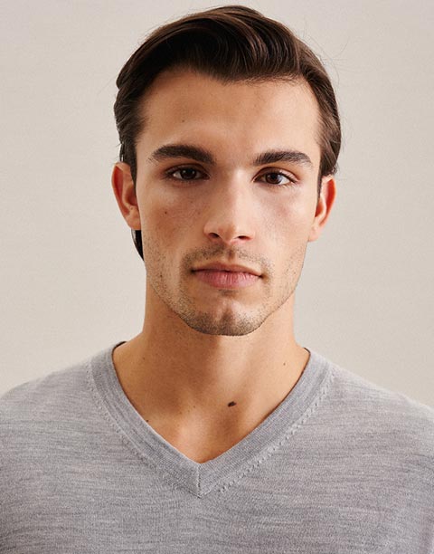 V-Neck Pullover Regular